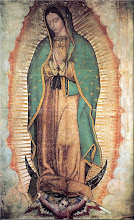 VIRGEN DE GUADALUPE