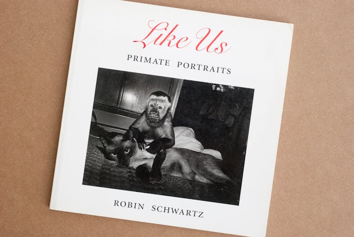 Like Us: Primate Portraits Robin Schwartz
