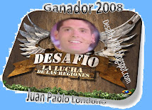 GANADOR DESAFIO 2008