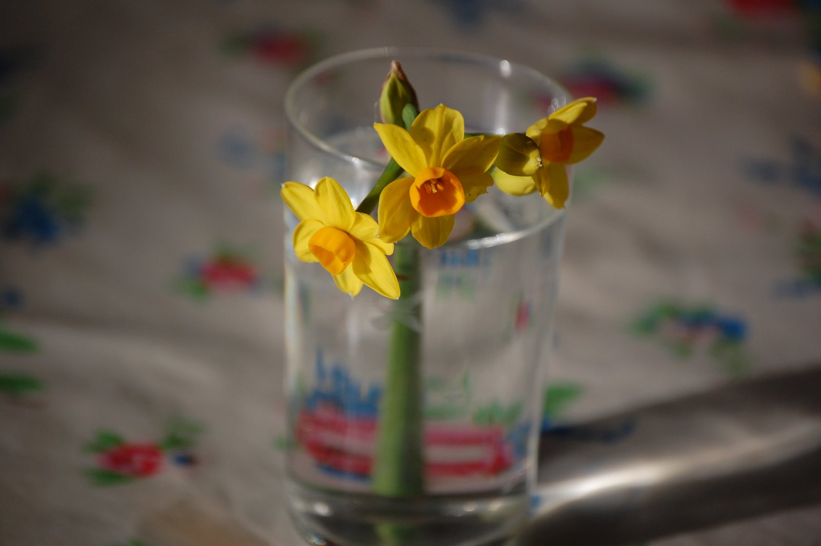 [DSC_0002.JPG]