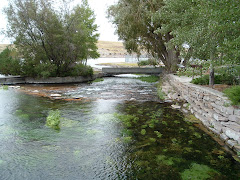 Springs that feed the shortest river in the US