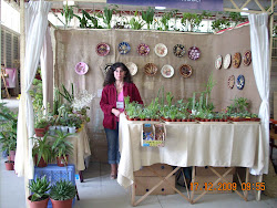 Participación en Feria Expo Comunitaria 2009