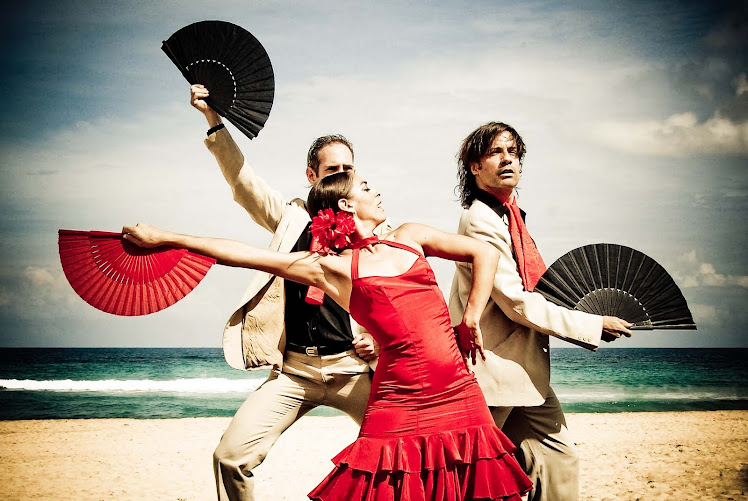 Apertura flamenco on the beach