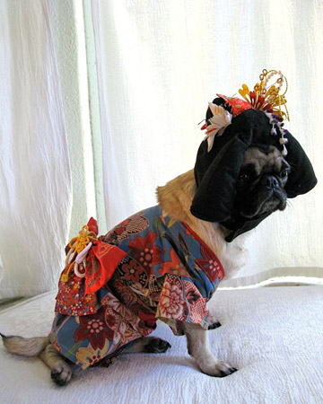 [pets_contest_mochi_lisawoodruff_xl.jpg]