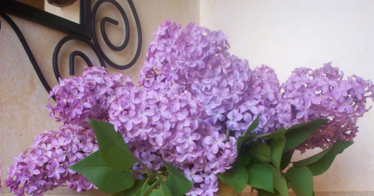 Con Las Manos En El Decoupage: Botes de cocina