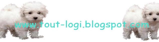www.tout-logi.blogspot.com