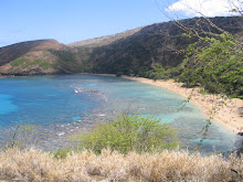 Coral Reef Bay in Hawaii ( santuary)