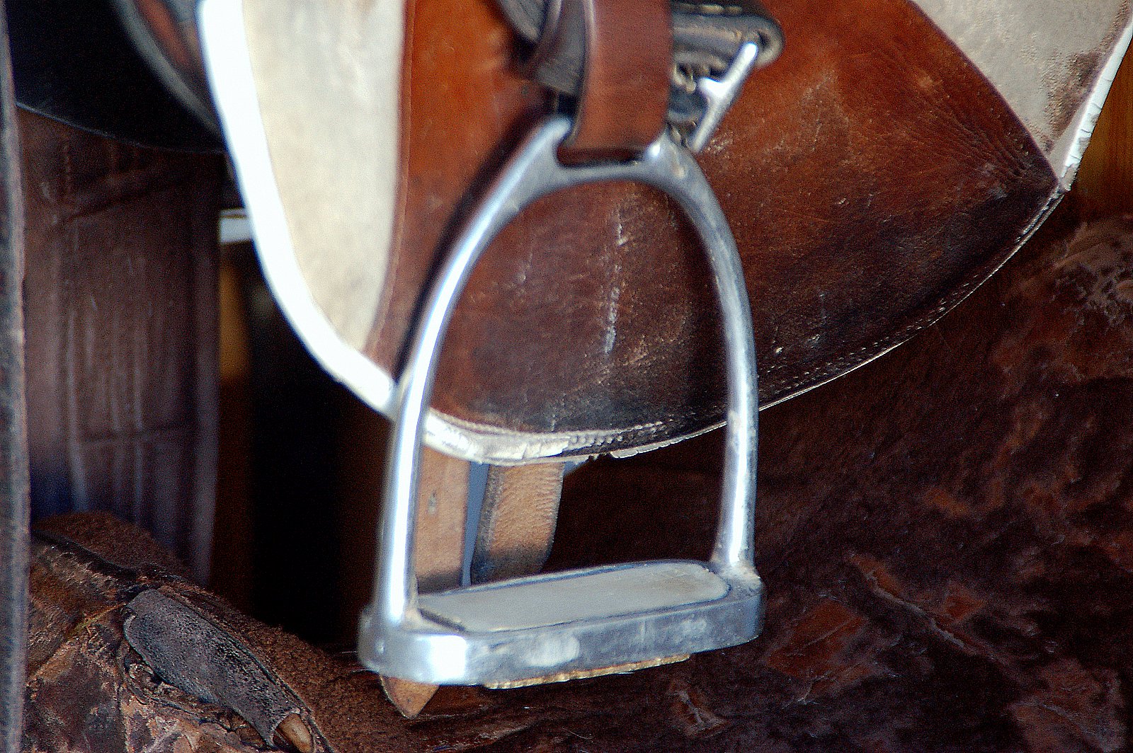 [DSC_2292.JPG]