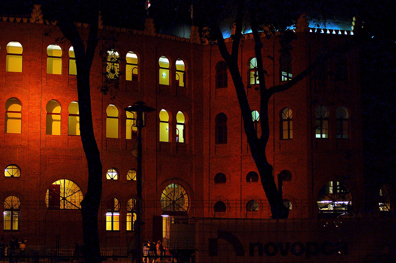 [DSC_6700.JPG]