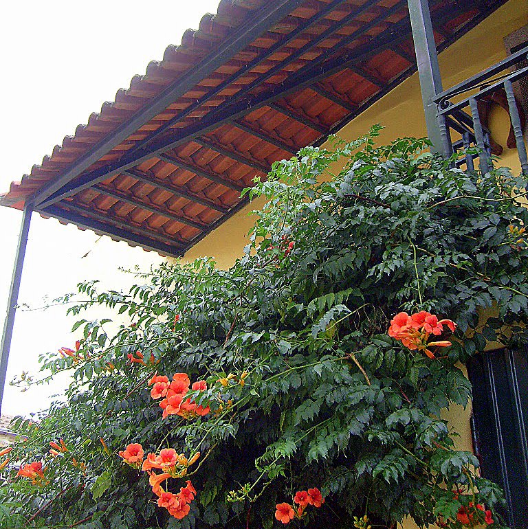 [Reigada_Agosto2009+021.jpg]