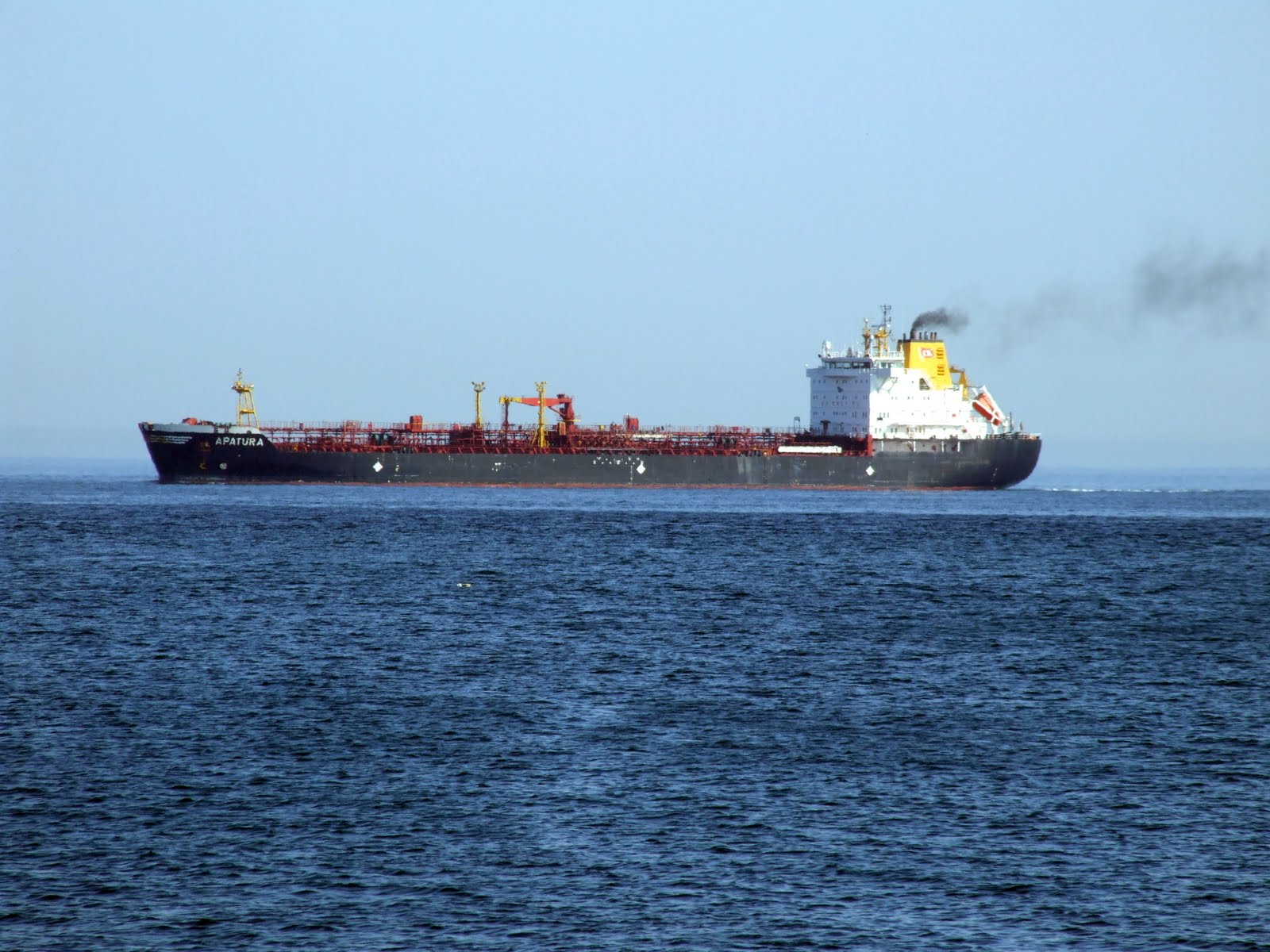 [B+N#APATURA#OEIRAS#4370.JPG]