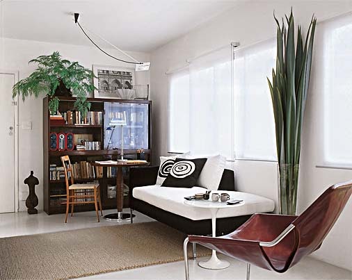 decora y disena: 10 fotos de salas acogedoras para espacios pequeños