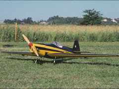 ZLIN 246
