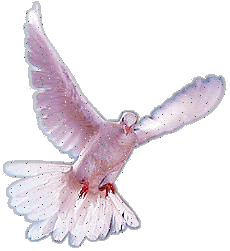 [orkut-hi5-myspace-animais_(93).gif]