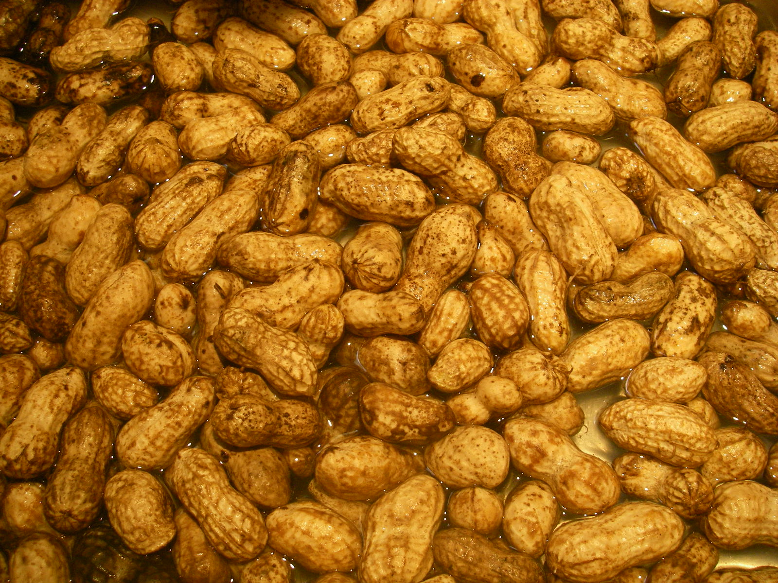 Horto in Urbs The Southern delicacy of boiled peanuts