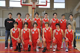 El nostre equip 2008/2009