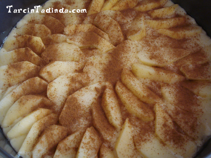 elmalı kek Tarçın Tadında pratik+hızlı+kolay yemek