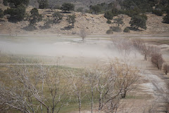 A view of a spring cross gust of wind on #18...Dust went as high as 30 feet!