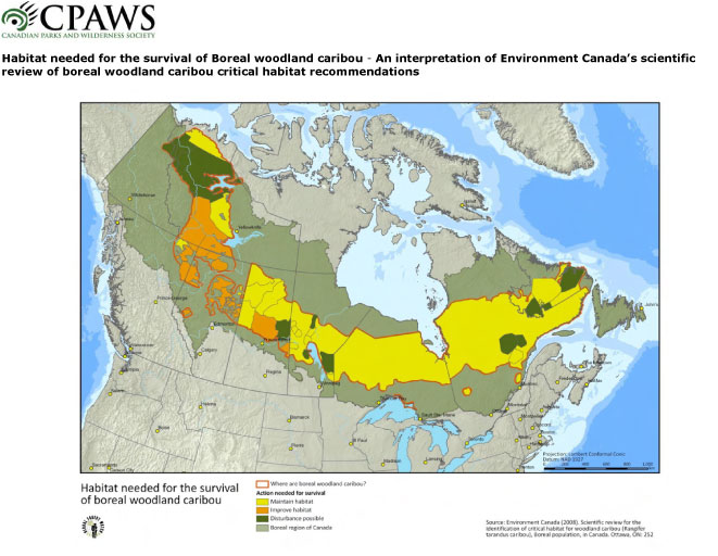 [caribou+critical+habitat+map.jpg]