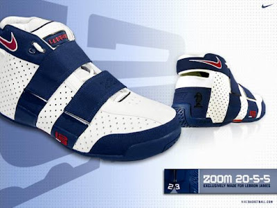 lebron shoes 2008