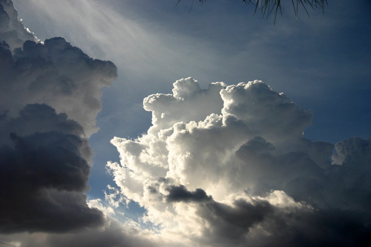 [Picture+335.jpg]