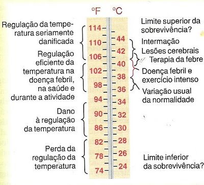 batíscafo  Dicionário Infopédia da Língua Portuguesa