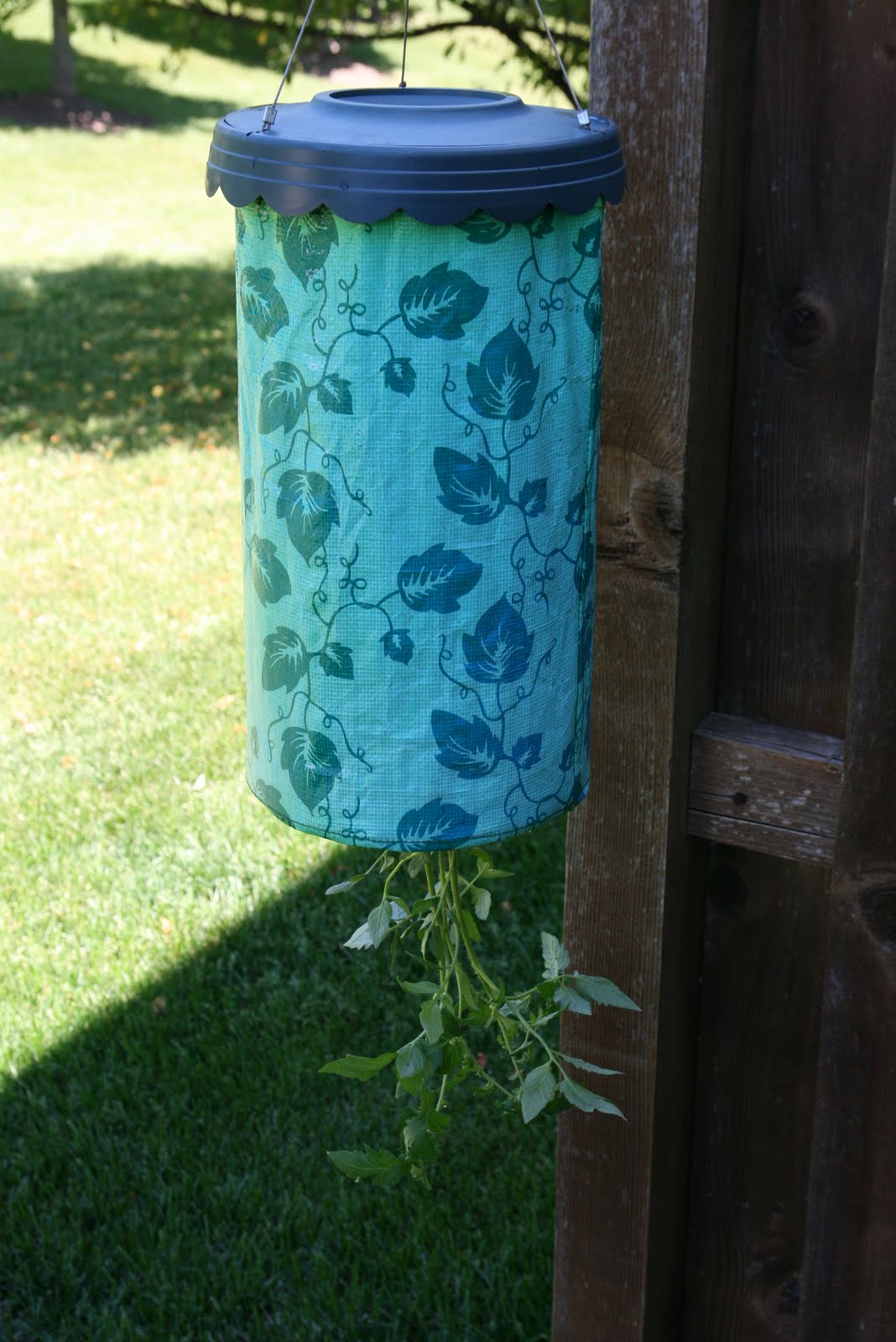 Topsy Turvy Tomato Planter