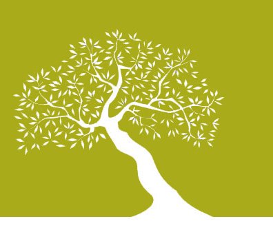 [tree2.jpg]