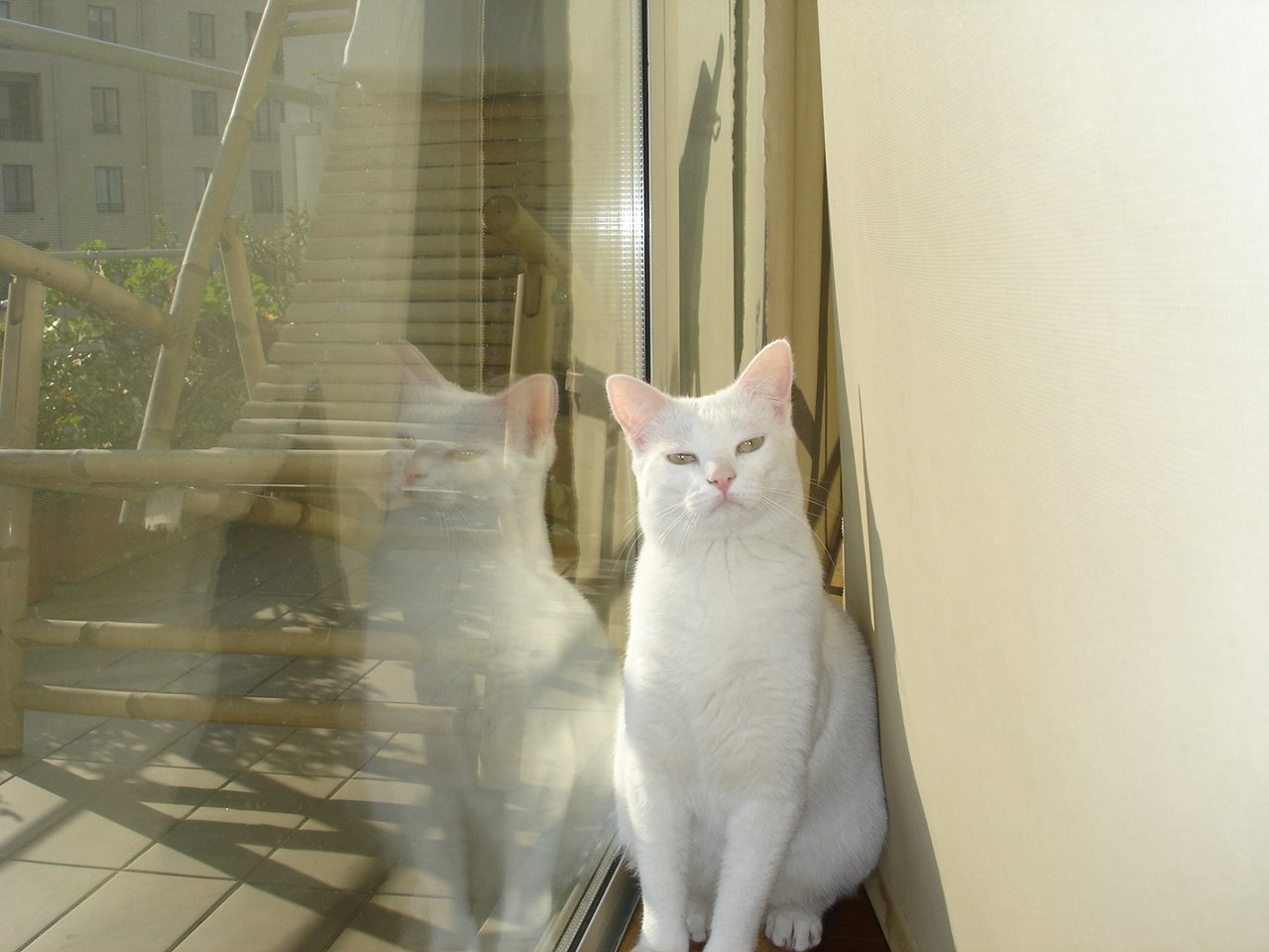 [DSC02826.JPG]