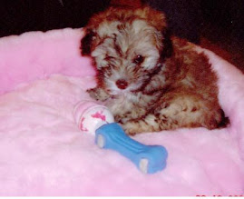 Lucy Poo at two months