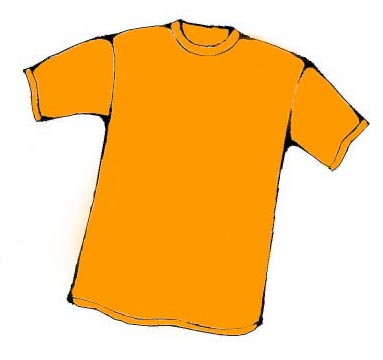 [orange+tshirt.jpg]