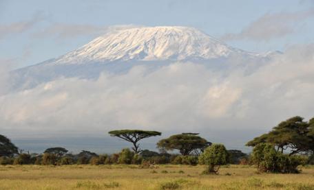 [Mount_Kilimanjaro_222423d.jpg]