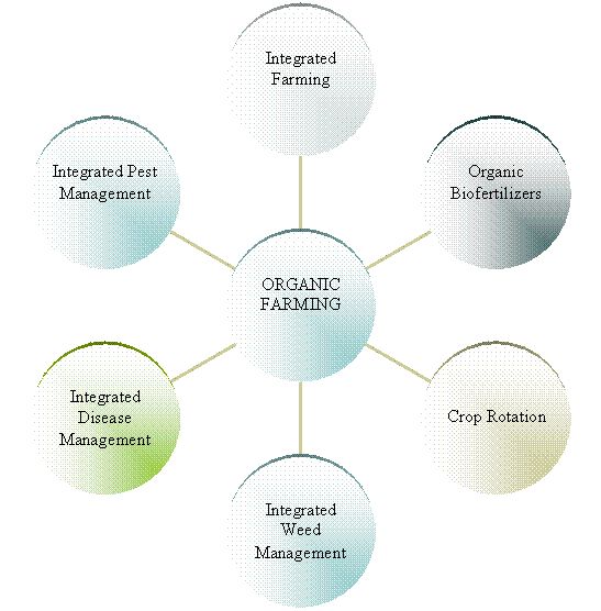 SCIENCE UPDATES: NEED FOR ORGANIC FARMING SCIENCE UPDATES: NEED FOR ORGANIC FARMING