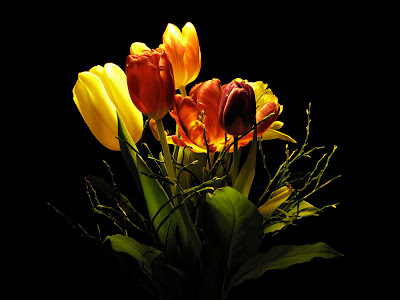 The Public Eye Blog Februar 2008