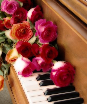 حروفي ترقص لأني ما زلت أصفق Roses+on+piano
