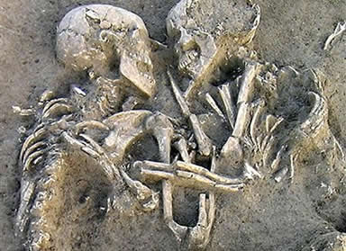 calin-vignette.jpg