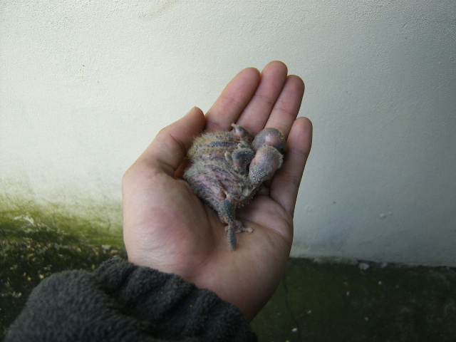 [DCAM0030.JPG]