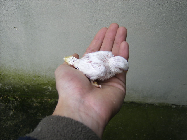 [DCAM0036.JPG]
