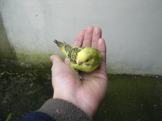[DCAM0019.JPG]