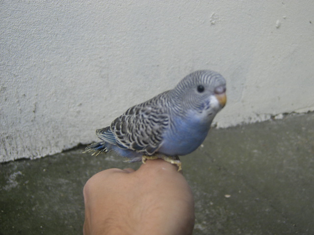 [DCAM2459.JPG]