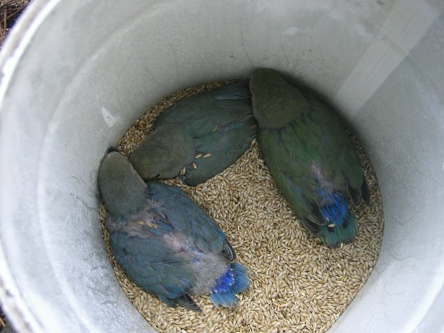 [DCAM2443.JPG]