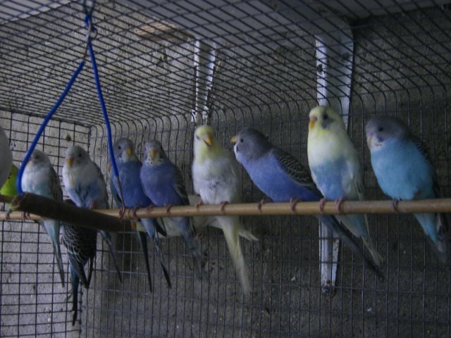 [DCAM2760.JPG]