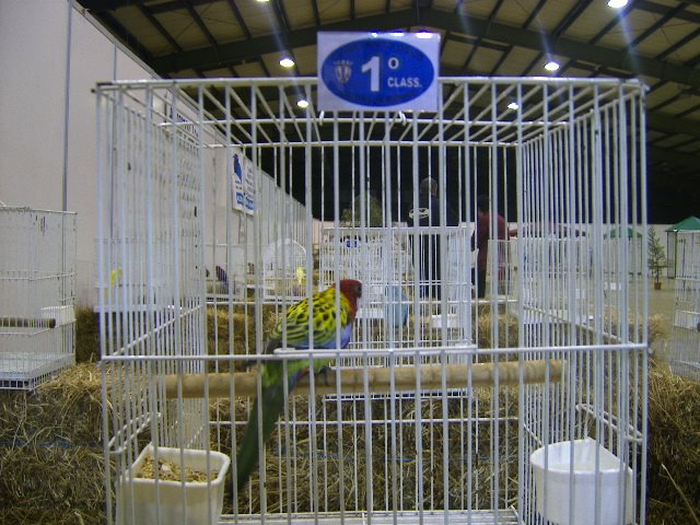 [DCAM2846.JPG]