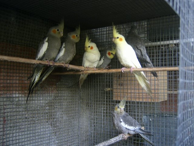 [DCAM3168.JPG]
