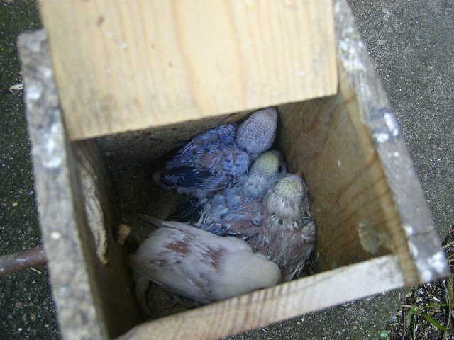 [DCAM3857.JPG]