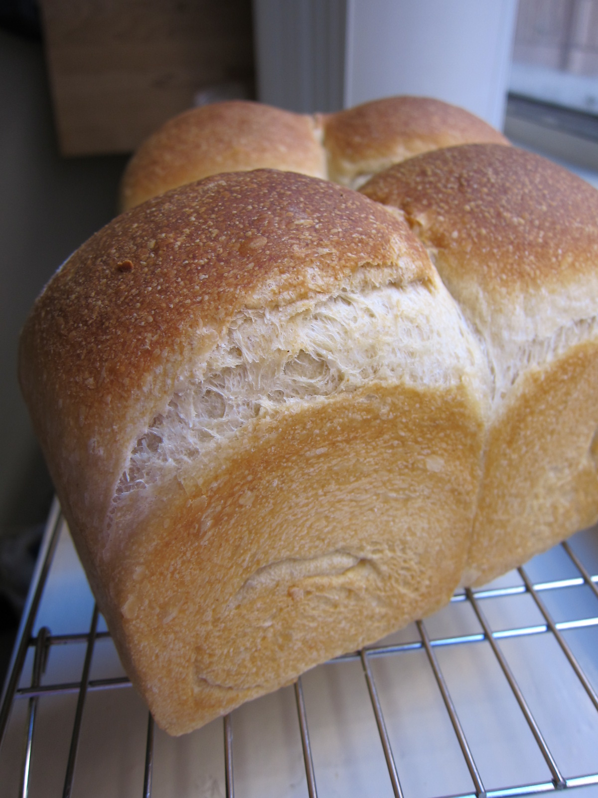 bread and original yeast mix fruits yeast pain de mie