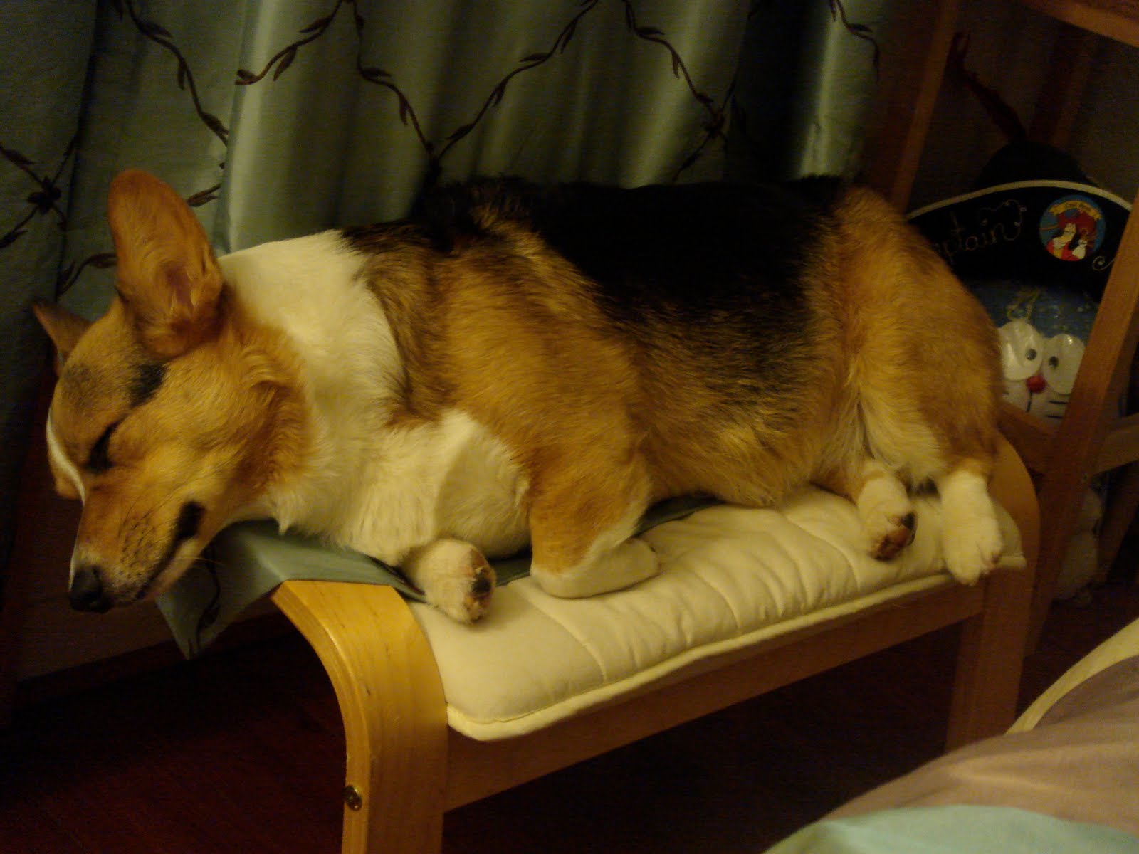[DSC05280.JPG]