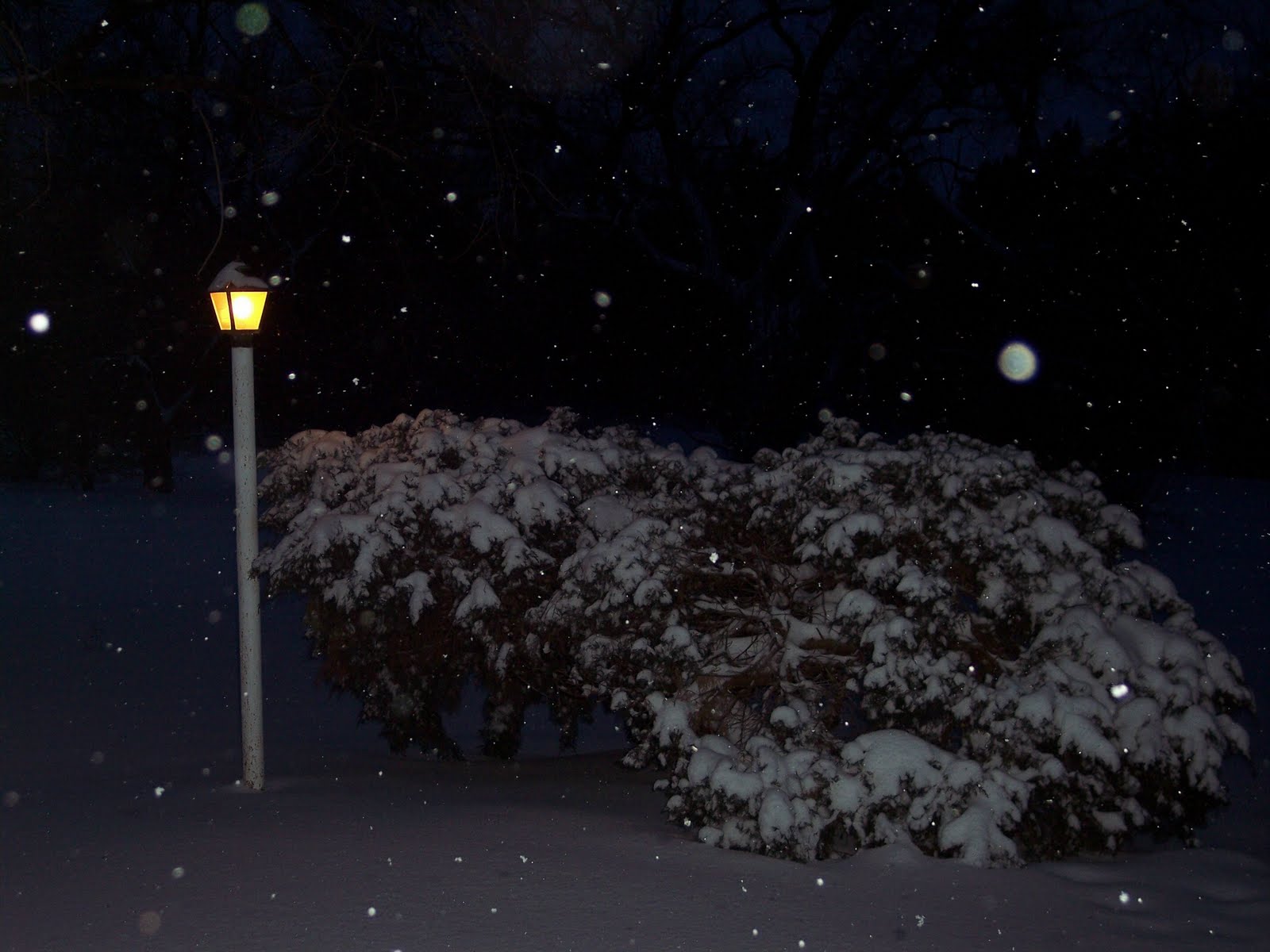 [Night+Snow+Lamplight.jpg]