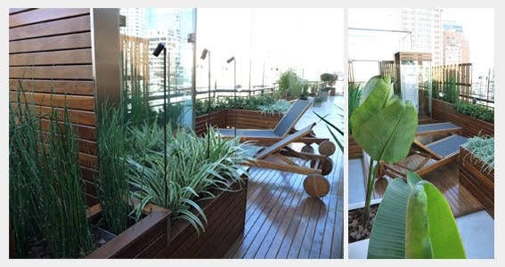 HARTE PONIEMAN & ASOC. Diseño de espacios verdes: Patios y terrazas