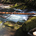 Hiking Hot Spots. Bagby Hot Springs.